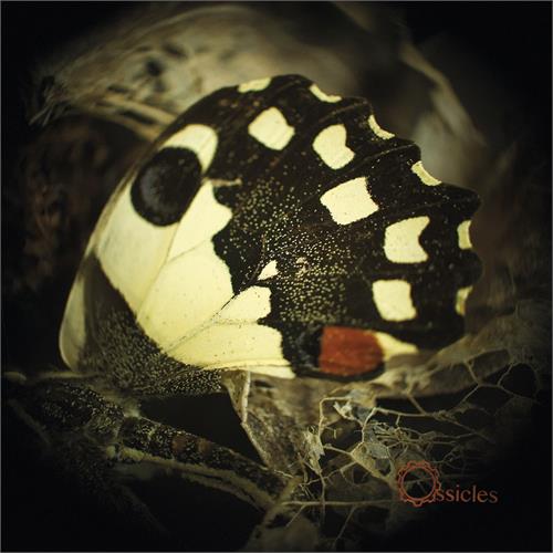 Ossicles Music For Wastelands (2LP)